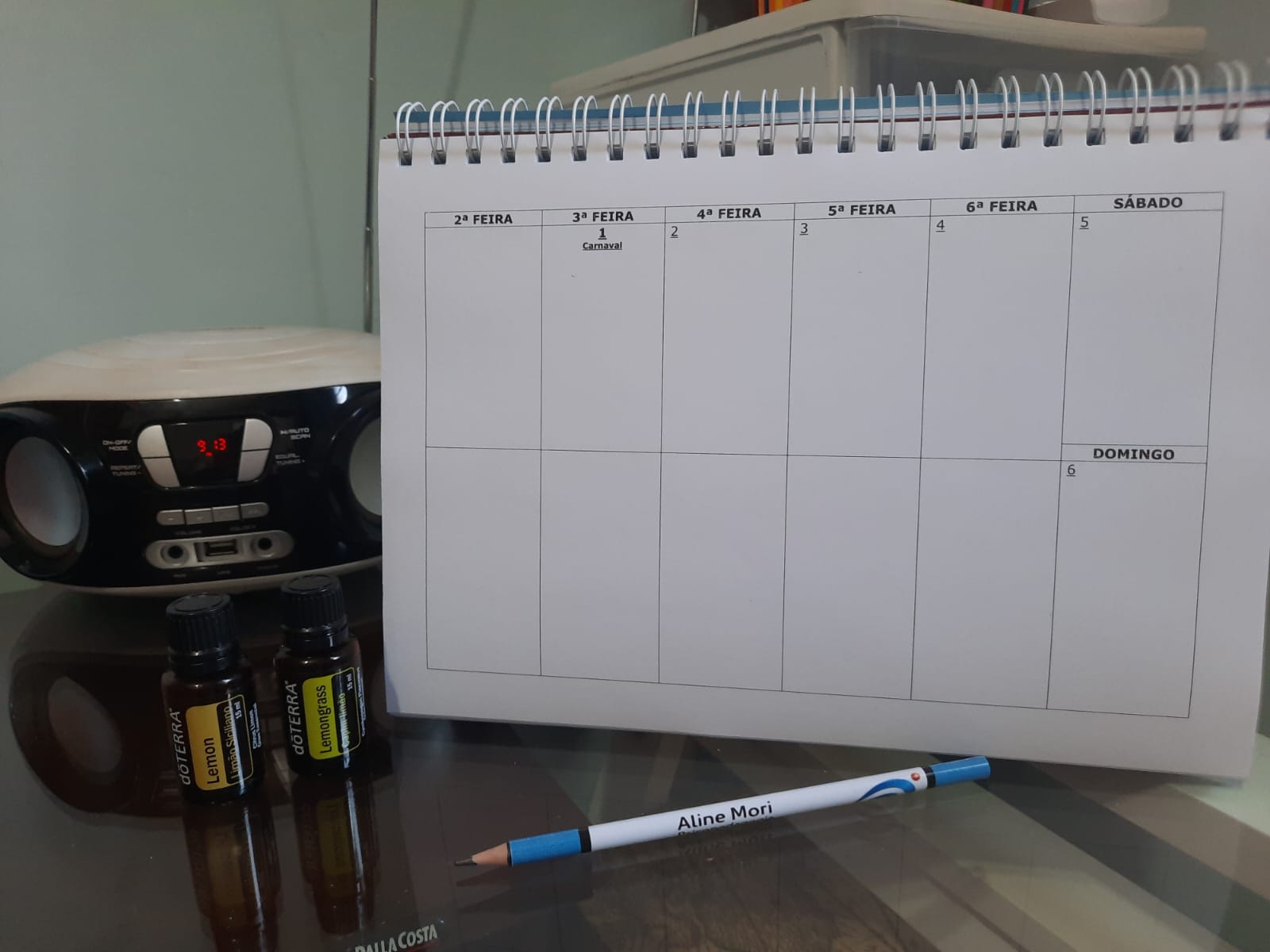 PLANNER SEMANAL.jpeg